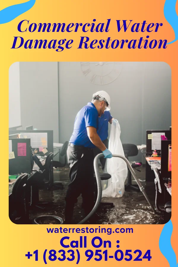 Commercial Water Damage Restoration in Asherton, TX