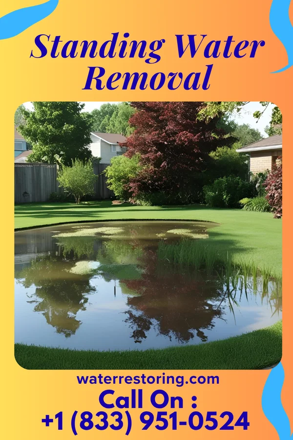 Standing Water Removal in Asherton, TX